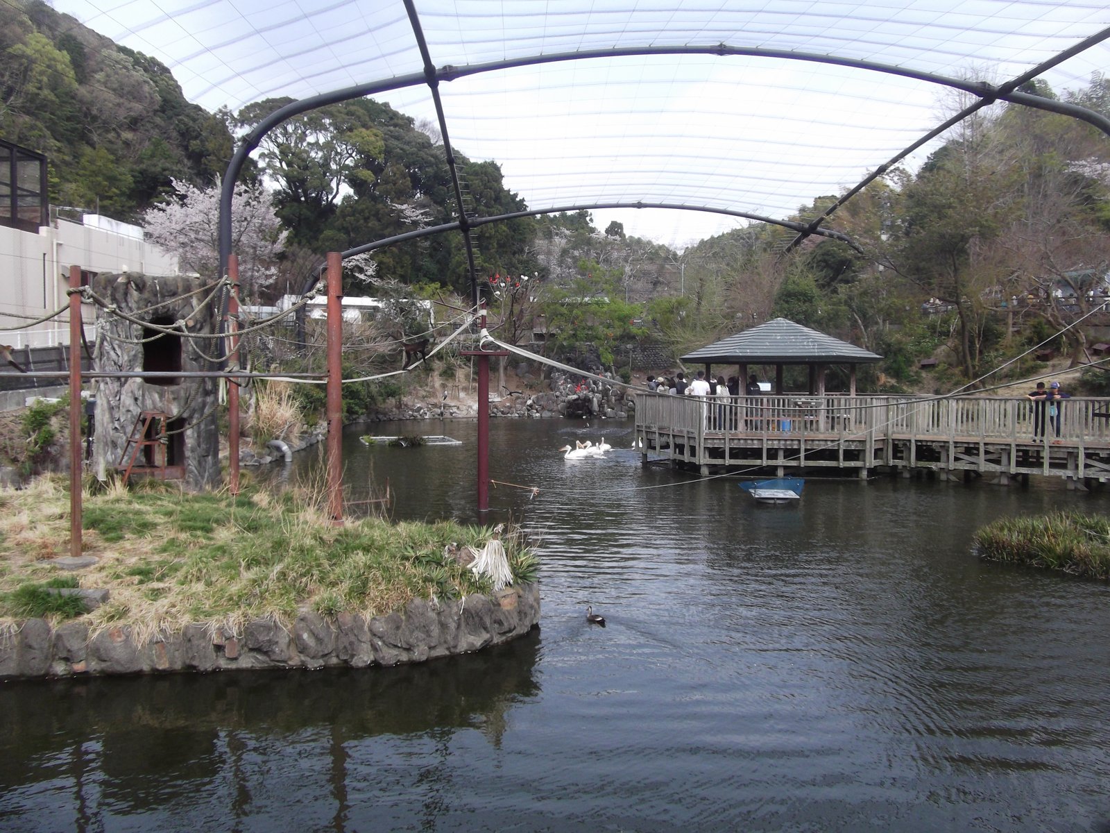 日本平動物園の動物展示