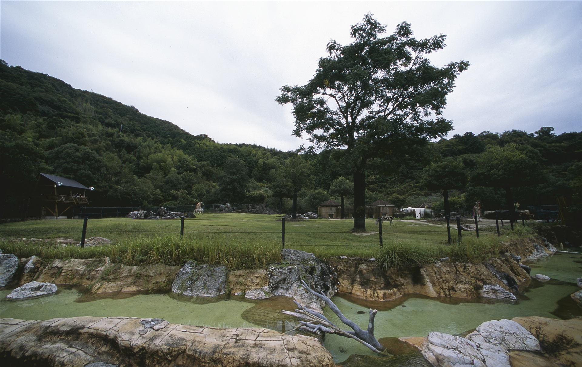 高知県立のいち動物公園の園内