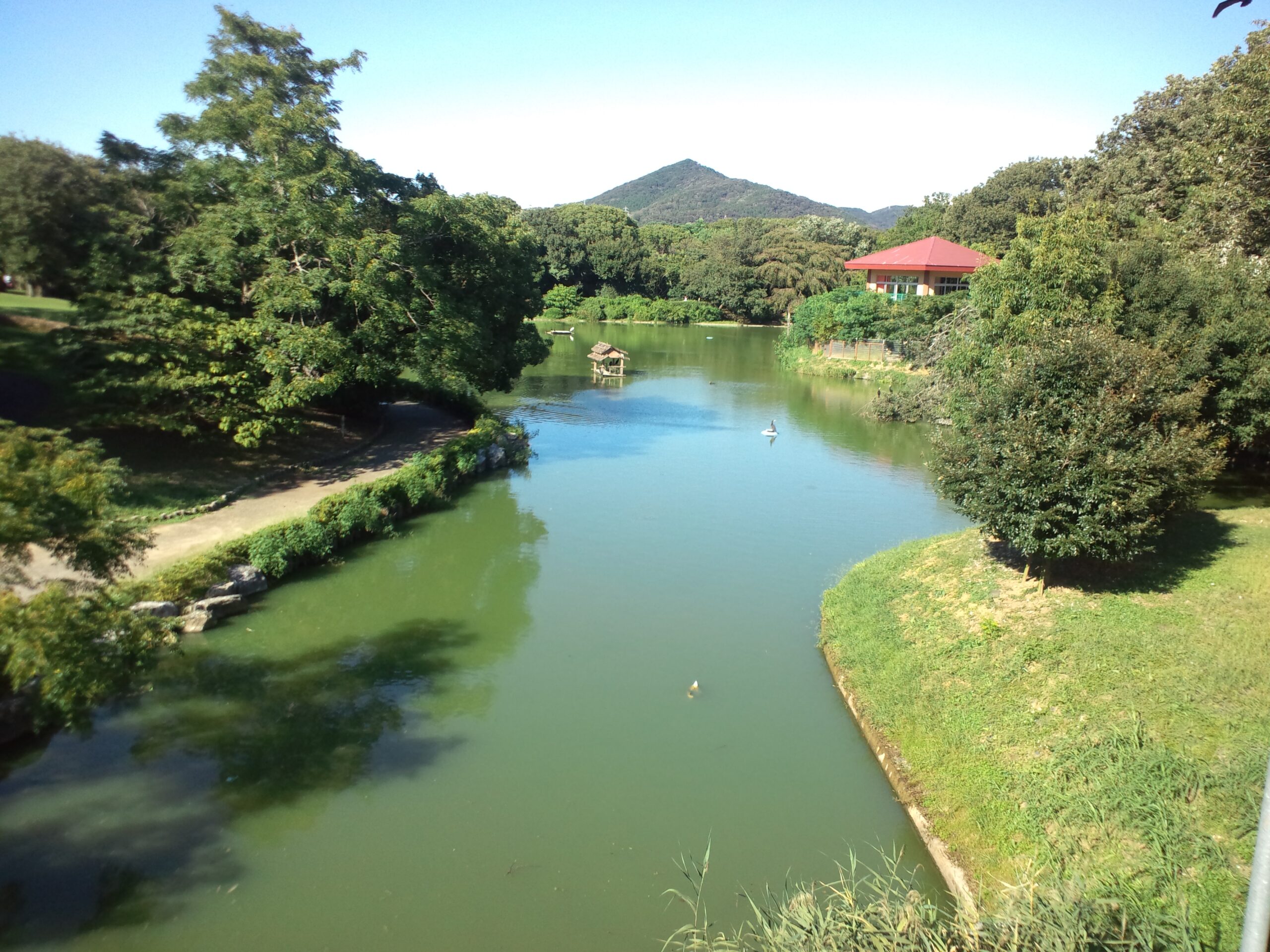 のんほいパーク 大沢池