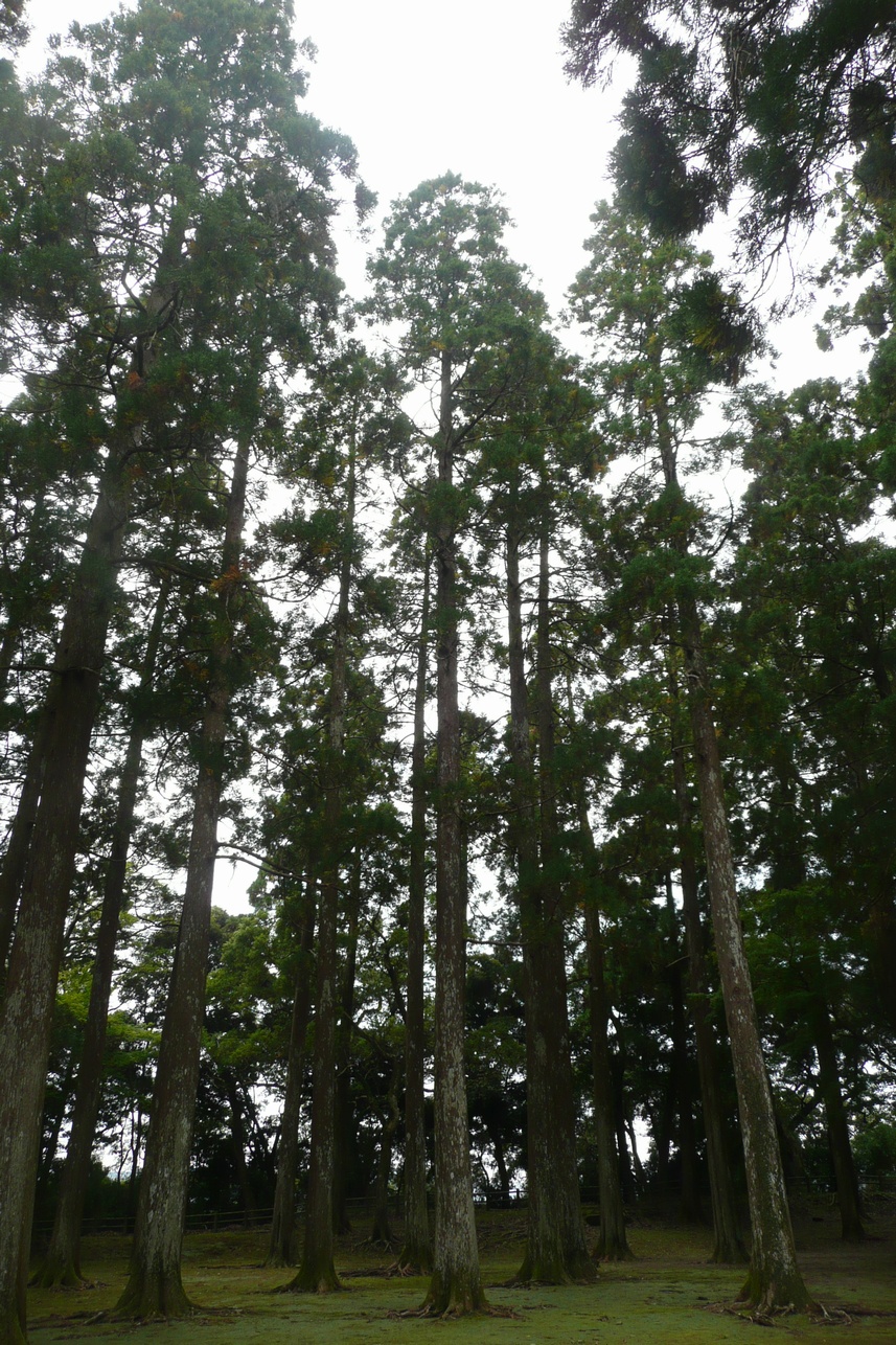 飫肥城跡 旧本丸