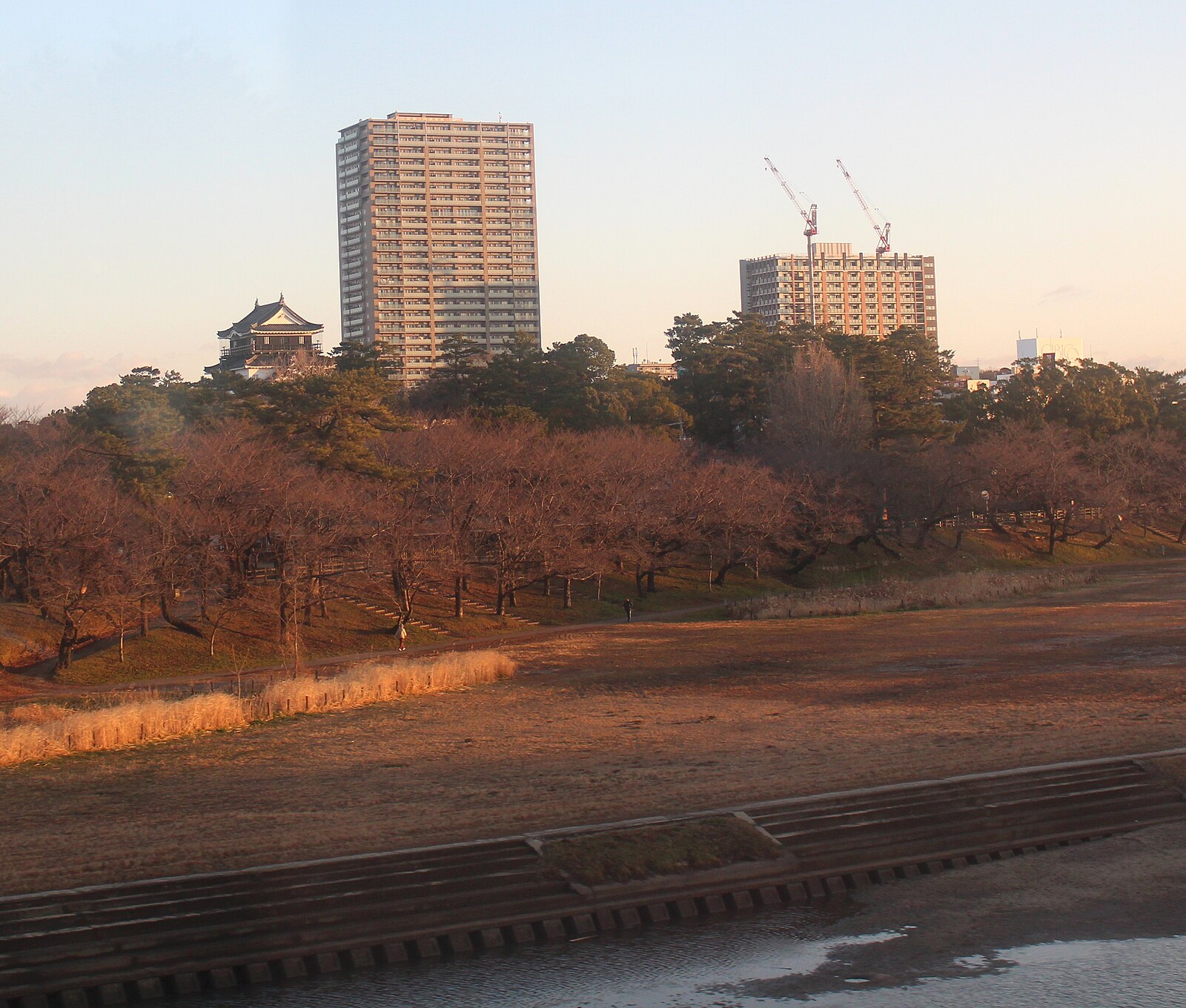 乙川越しに望む岡崎城の天守閣