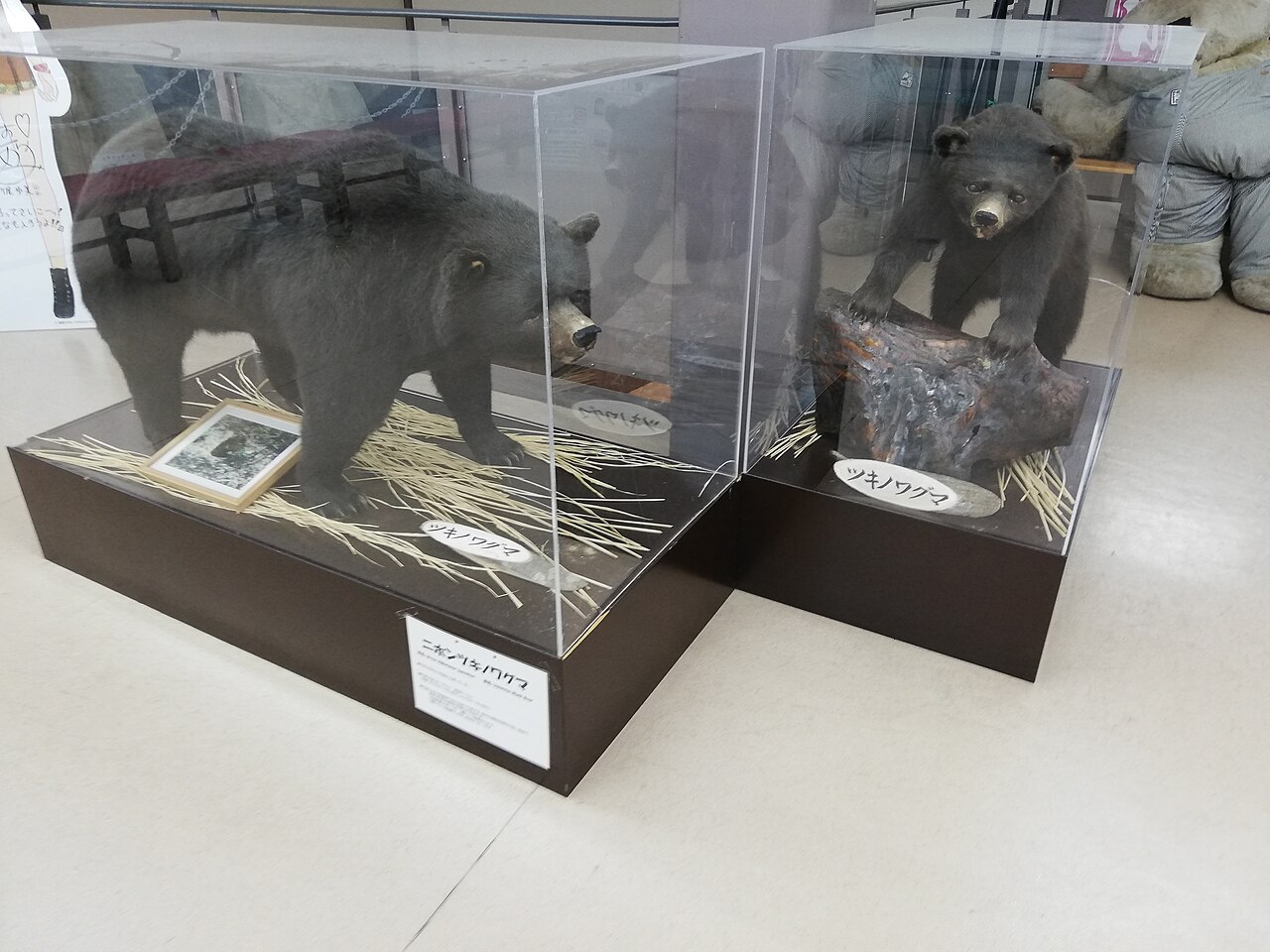 奥飛騨クマ牧場の入口