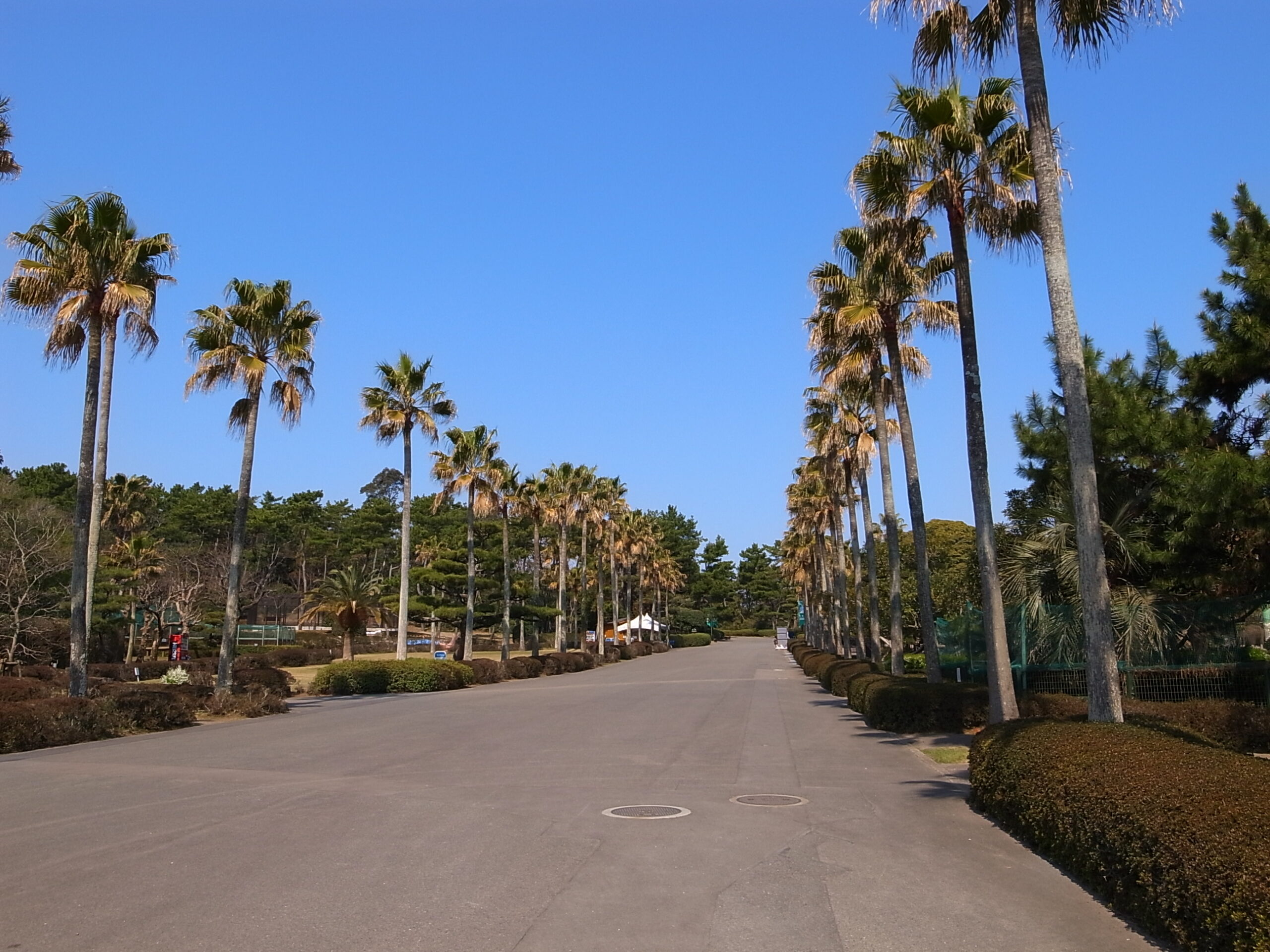 宮崎市フェニックス自然動物園の外観