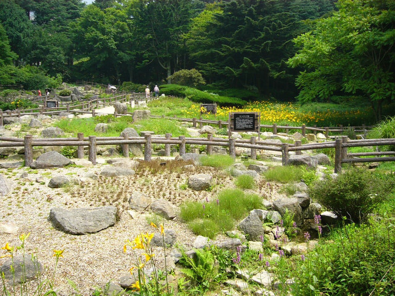 六甲高山植物園の園内風景