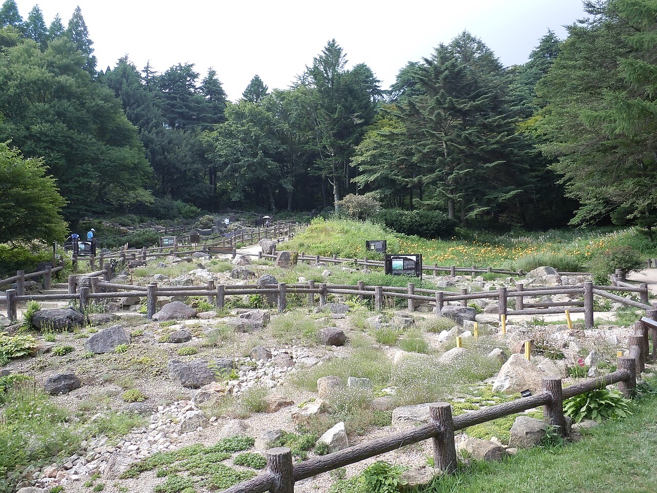 六甲高山植物園の風景