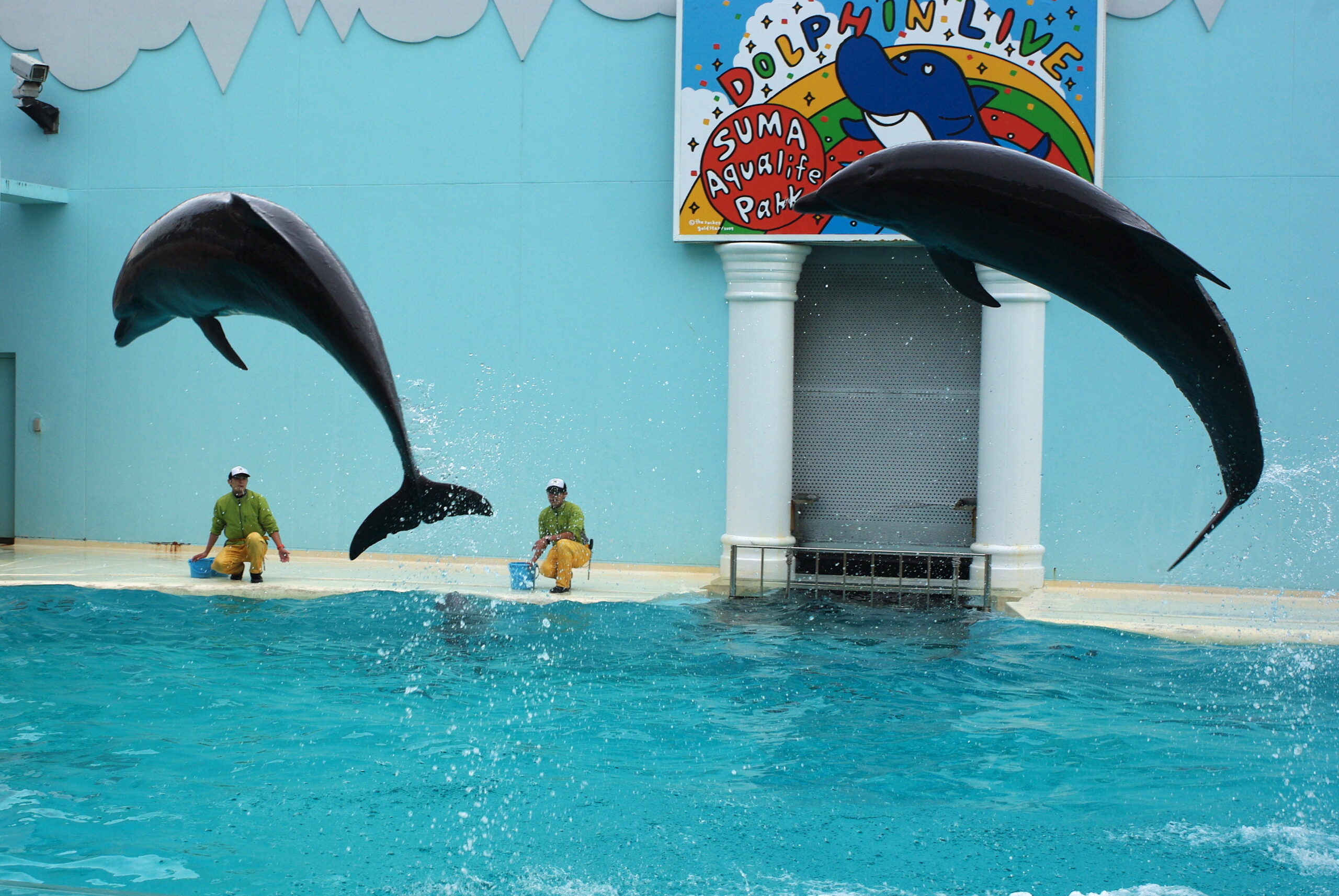 須磨水族園エントランス周辺の様子