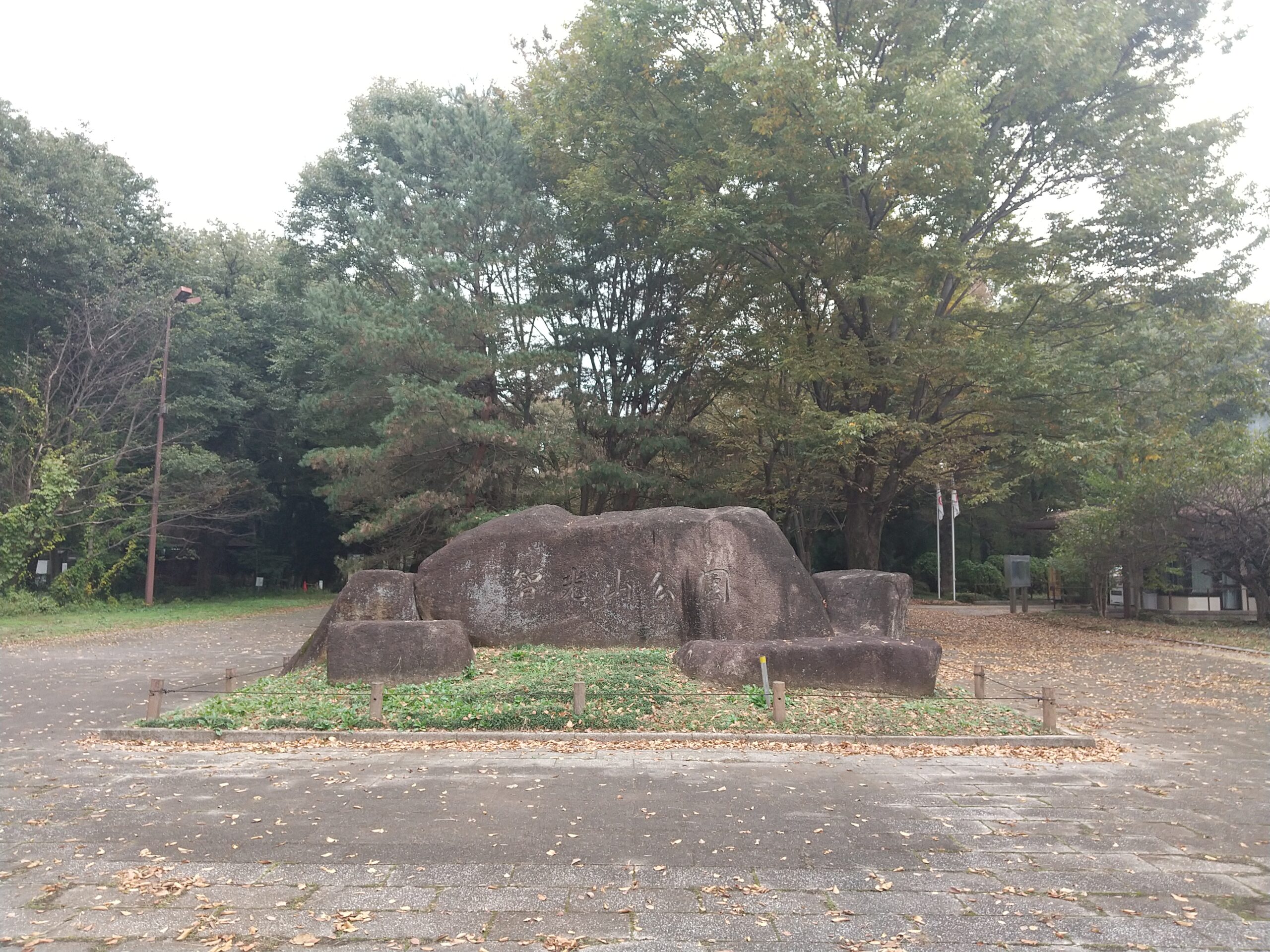 智光山公園 池の景観