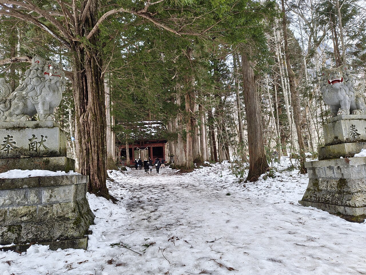 戸隠神社奥社参道の随神門と樹齢400年超の杉並木