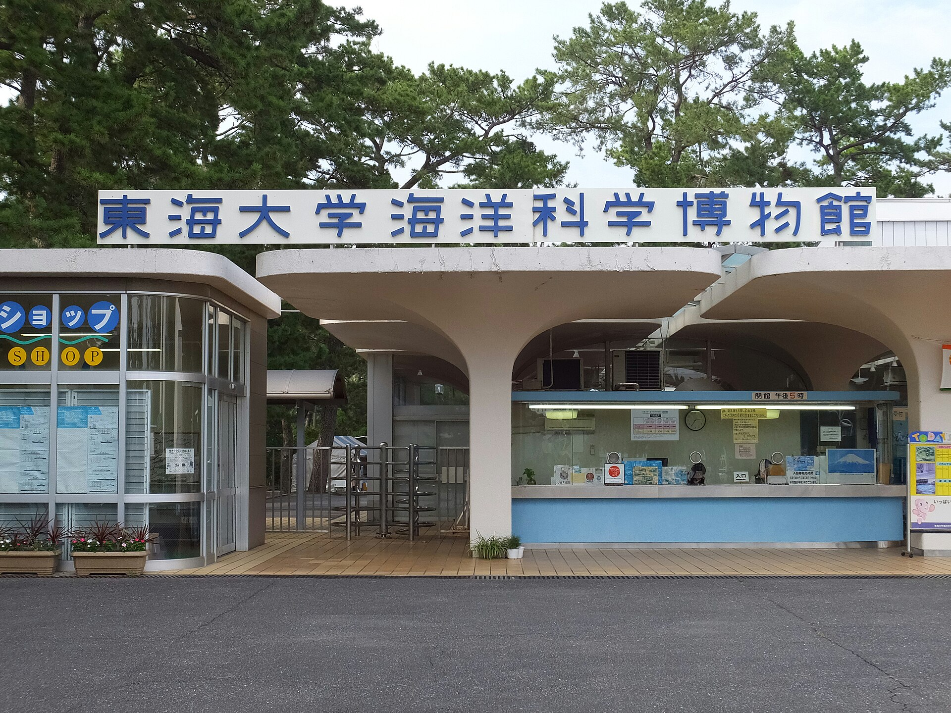 東海大学海洋科学博物館の外観