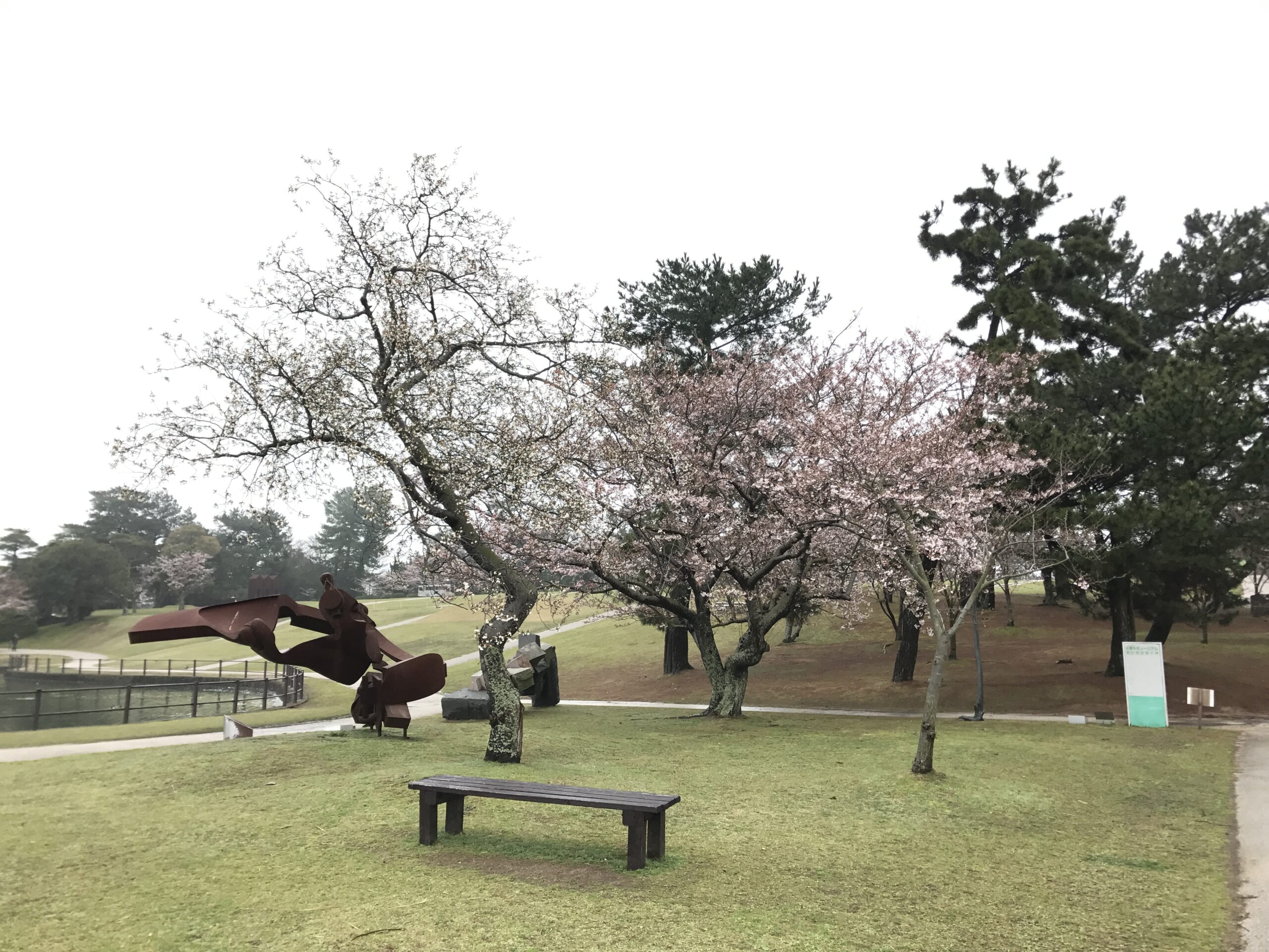 ときわ公園の園内風景