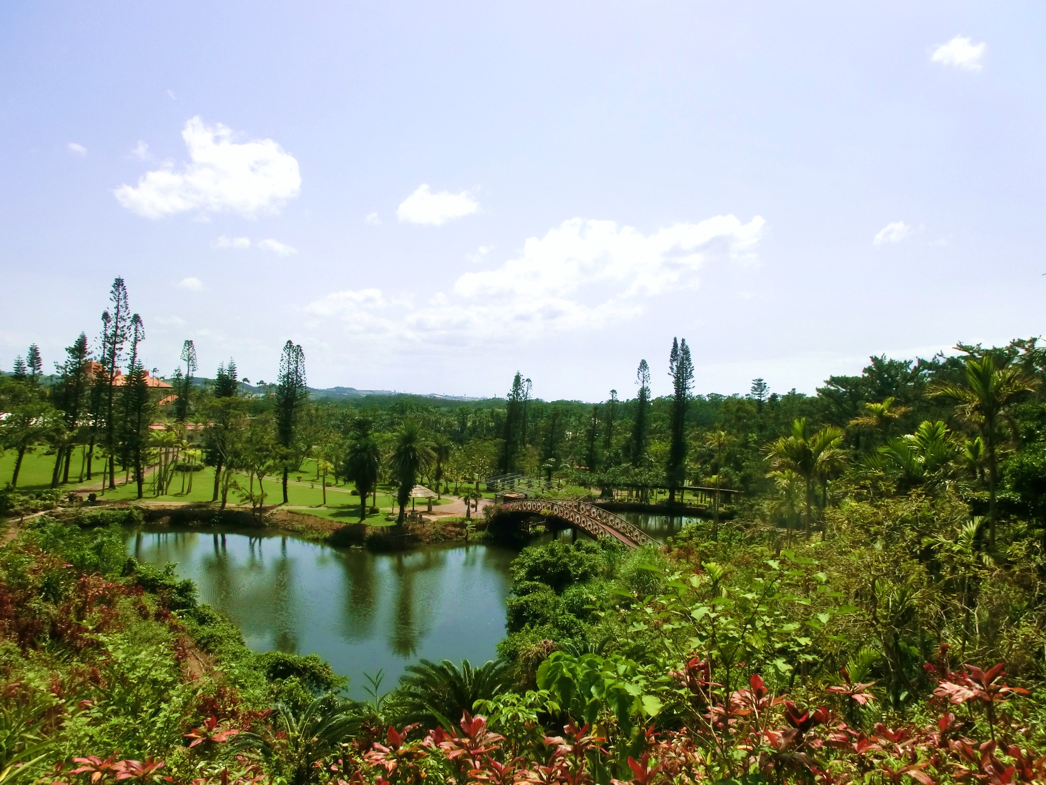 東南植物楽園の風景