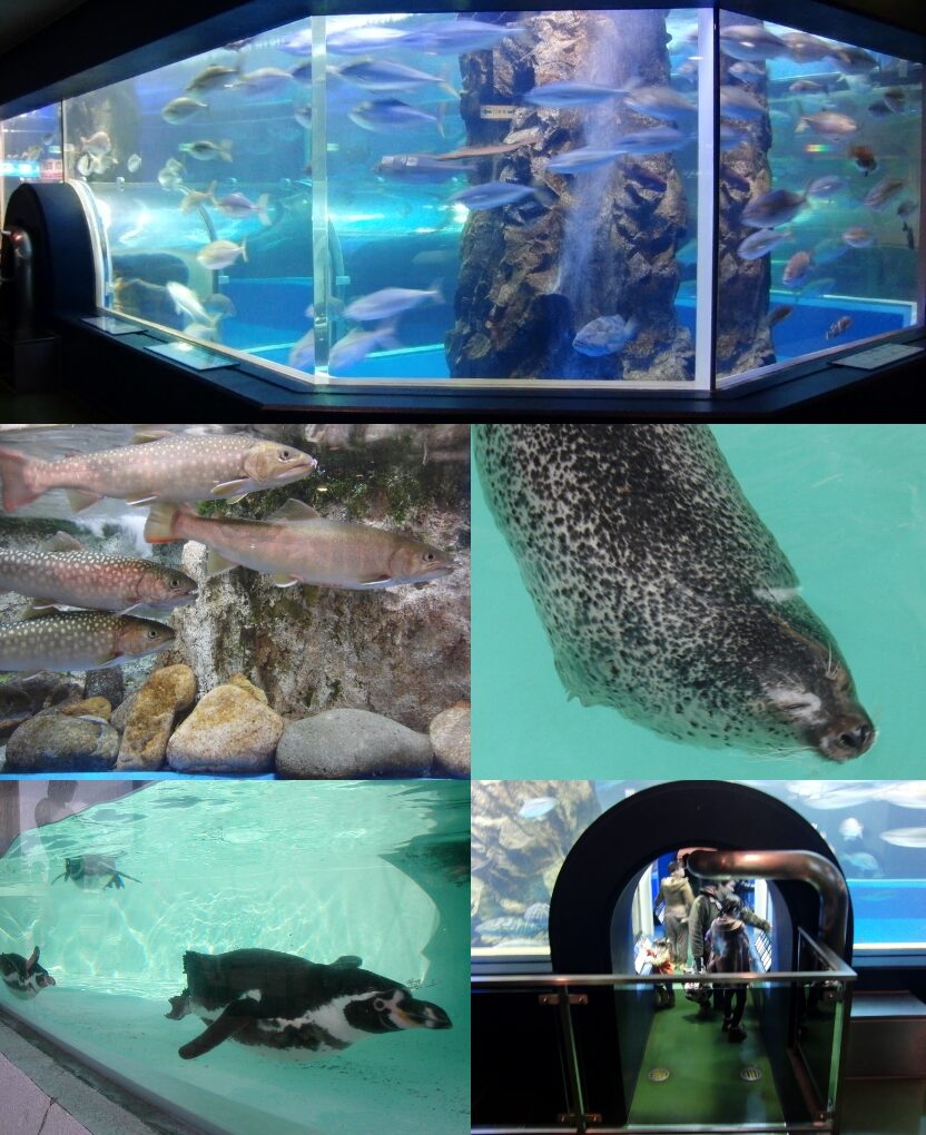 魚津水族館の建物