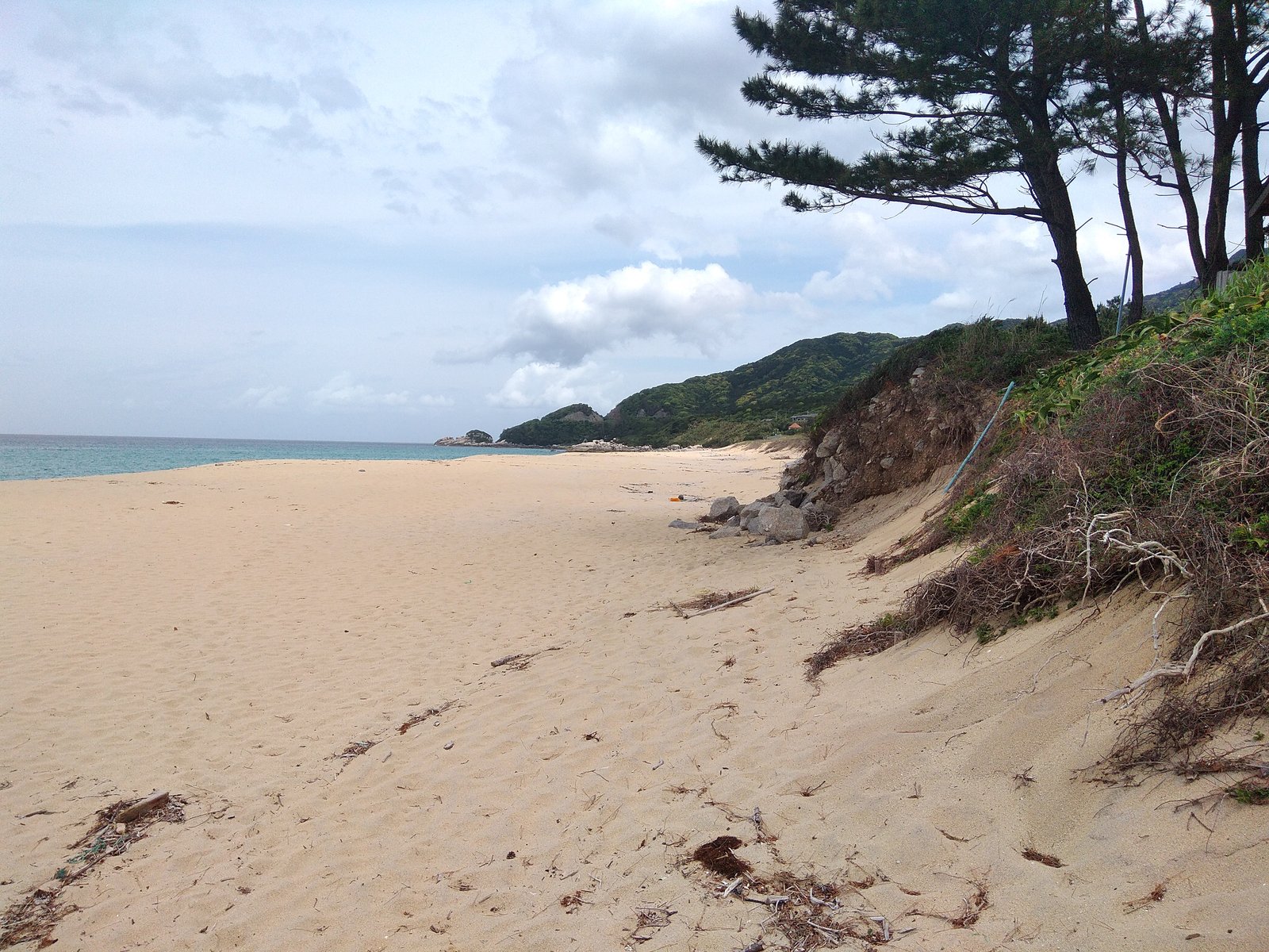 屋久島の海とビーチ
