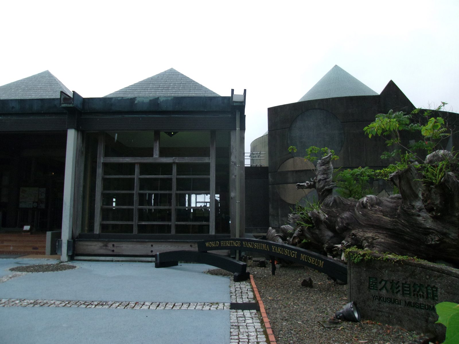 屋久杉自然館の建物外観（別アングル）