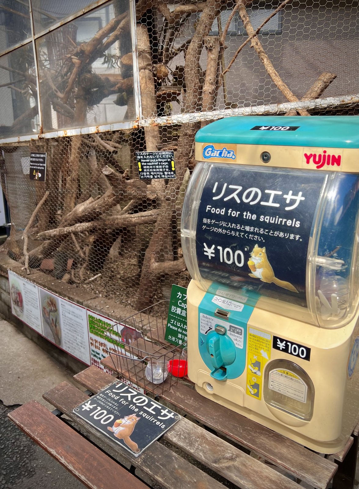 由布院温泉の街並みと由布岳の風景